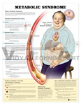 Metabolic Syndrome Anatomical Chart